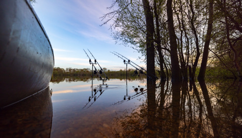 Emeraude, Big Carp in France, lake photo 25