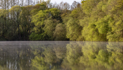 Emeraude, Big Carp in France, lake photo 9