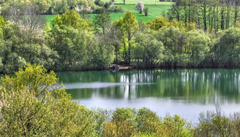 Emeraude, Big Carp in France, lake photo 6