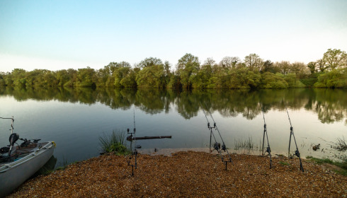 Emeraude, Big Carp in France, lake photo 22