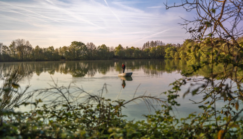 Emeraude, Big Carp in France, lake photo 1