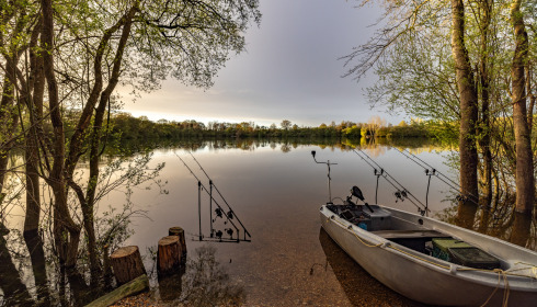 Emeraude, Big Carp in France, lake photo 4