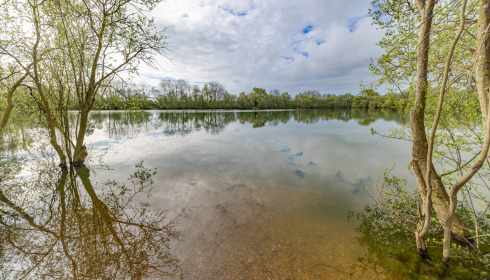 Emeraude, Big Carp in France, Swim 2 (High water levels)