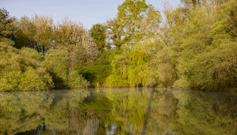 Emeraude, Big Carp in France, lake photo 20