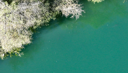 Emeraude, Big Carp in France, lake photo 29