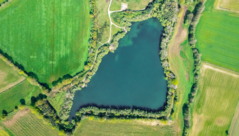 Emeraude, Big Carp in France, lake photo 2