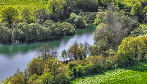 Emeraude, Big Carp in France, lake photo 1