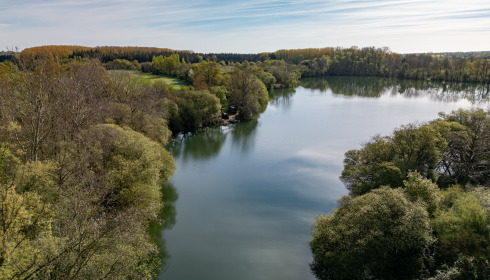 Emeraude, Big Carp in France, lake photo 28
