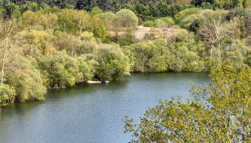 Emeraude, Big Carp in France, lake photo 5