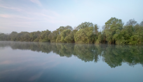 Emeraude, Big Carp in France, lake photo 7