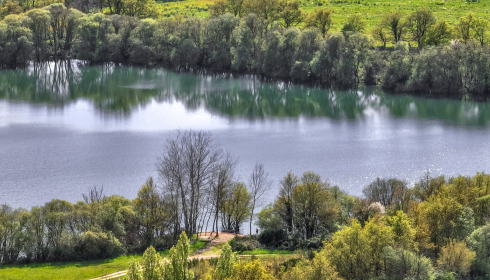 Emeraude, Big Carp in France, Swim 2
