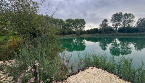Golden Carp Lake, Big Carp Fishing France with a Social Lodge, Swim 4