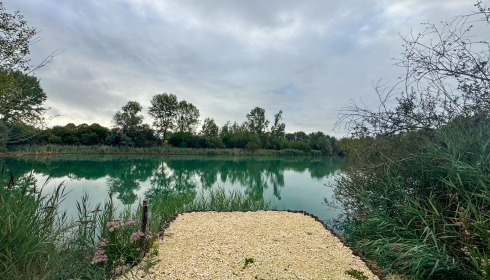 Golden Carp Lake, Big Carp Fishing France with a Social Lodge, Swim 4