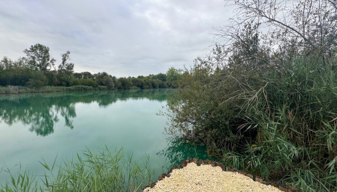Golden Carp Lake, Big Carp Fishing France with a Social Lodge, Swim 4