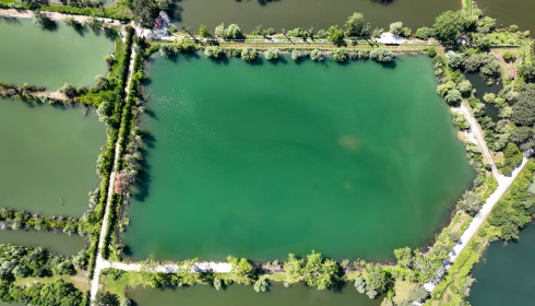 Grandes Cimes, Great Value Carp Fishing France, lake photo 20