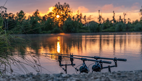 Grandes Cimes, Great Value Carp Fishing France, lake photo 8