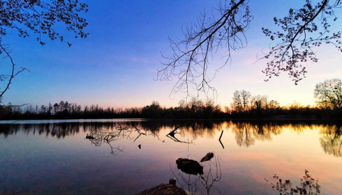 Grandes Cimes, Great Value Carp Fishing France, lake photo 9