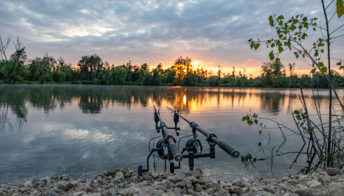 Grandes Cimes, Great Value Carp Fishing France, lake photo 28