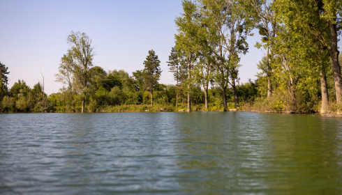 Grandes Cimes, Great Value Carp Fishing France, lake photo 18