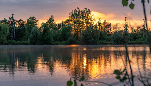 Grandes Cimes, Great Value Carp Fishing France, lake photo 13