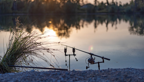 Grandes Cimes, Great Value Carp Fishing France, lake photo 29