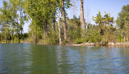 Grandes Cimes, Great Value Carp Fishing France, lake photo 22