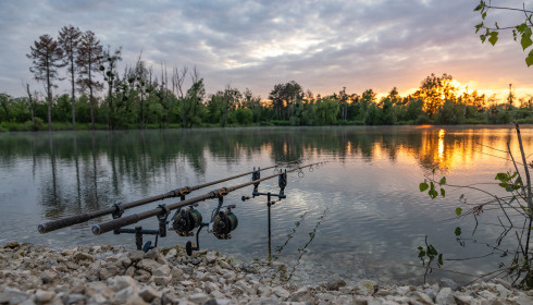 Grandes Cimes, Great Value Carp Fishing France, lake photo 31