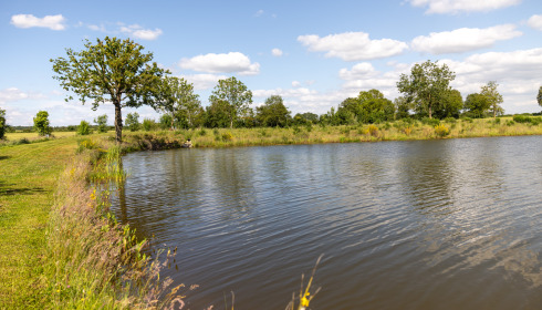 Heart Lake, Exclusive Carp Fishing France with Accommodation, lake photo 27