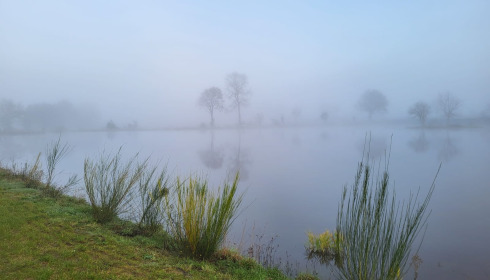 Heart Lake, Exclusive Carp Fishing France with Accommodation, lake photo 11