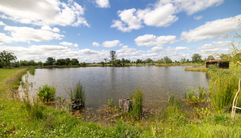 Heart Lake, Exclusive Carp Fishing France with Accommodation, lake photo 12