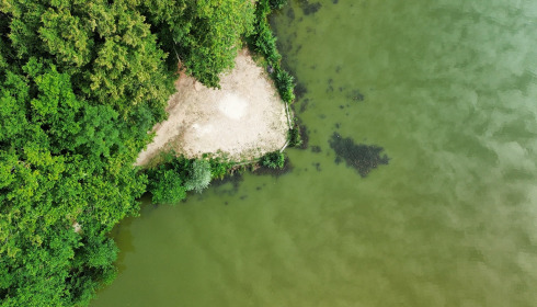 Jonchery 8, Carp Lake in France, lake photo 13