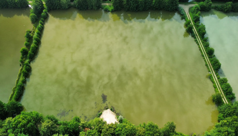 Jonchery 8, Carp Lake in France, lake photo 12