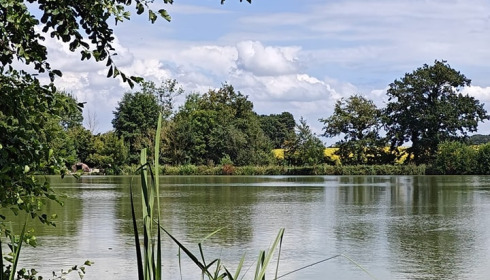 Jonchery, Proven Carp Fishing France, lake photo 21