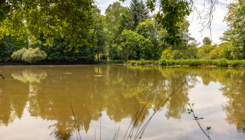 Lakeview, Carp Fishing France with Accommodation, lake photo 13