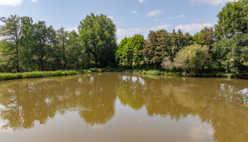 Lakeview, Carp Fishing France with Accommodation, lake photo 27