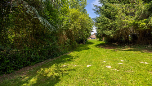 Lakeview, Carp Fishing France with Accommodation, Walkway to house from lakeside