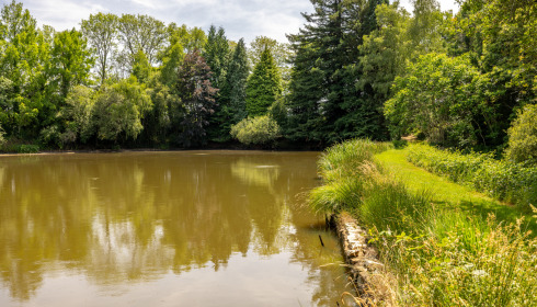 Lakeview, Carp Fishing France with Accommodation, lake photo 24