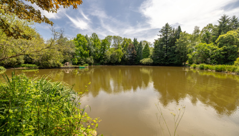 Lakeview, Carp Fishing France with Accommodation, lake photo 16