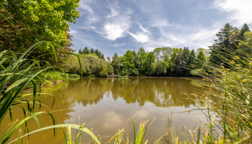 Lakeview, Carp Fishing France with Accommodation, lake photo 22