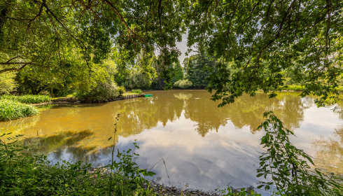 Lakeview, Carp Fishing France with Accommodation, lake photo 26