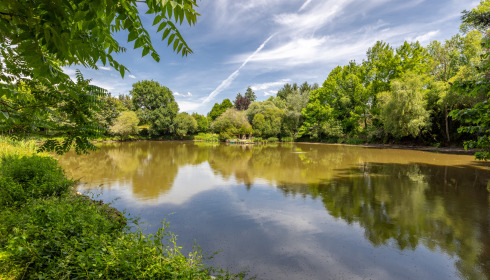 Lakeview, Carp Fishing France with Accommodation, lake photo 2