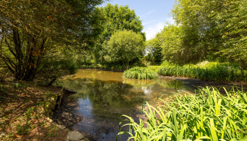 Lakeview, Carp Fishing France with Accommodation, lake photo 20