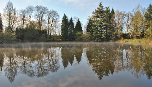 Lakeview, Carp Fishing France with Accommodation, lake photo 7
