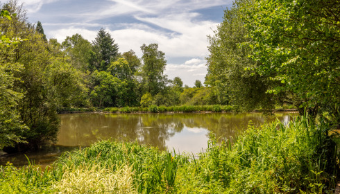 Lakeview, Carp Fishing France with Accommodation, lake photo 23