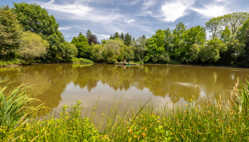 Lakeview, Carp Fishing France with Accommodation, lake photo 19
