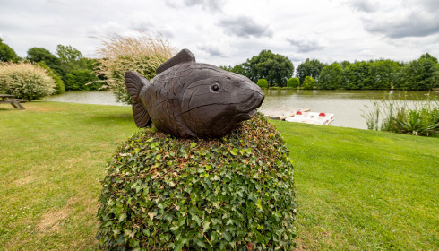 Landes, Carp fishing France, lake photo 27