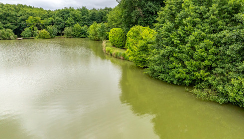 Landes, Carp fishing France, lake photo 28