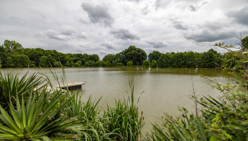 Landes, Carp fishing France, lake photo 2