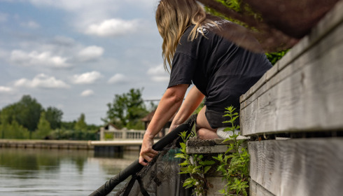 Landes, Carp fishing France, lake photo 32