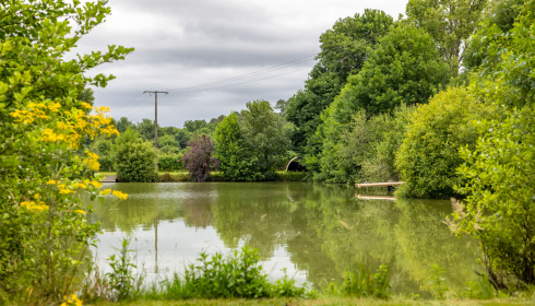 Landes, Carp fishing France, lake photo 14